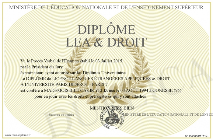 diplome lea